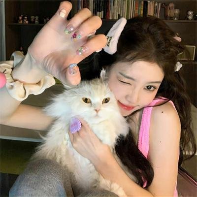 潘尼沃斯第二季